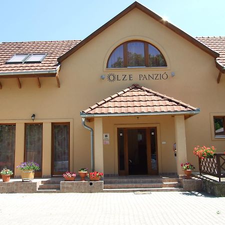 Bed and Breakfast Olze Panzió Erdőbénye Exterior foto
