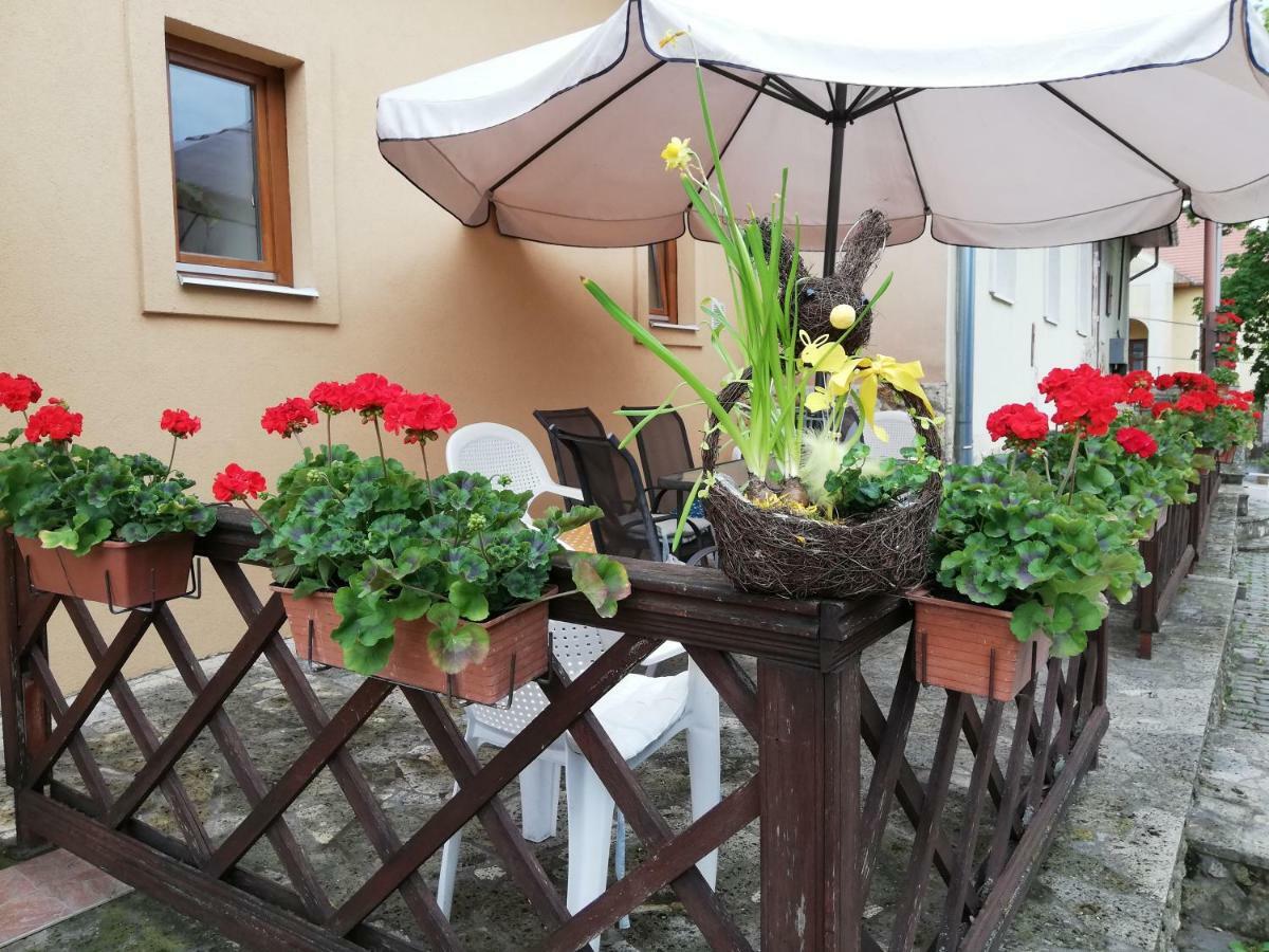 Bed and Breakfast Olze Panzió Erdőbénye Exterior foto